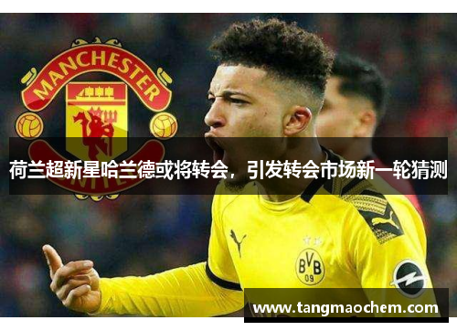 荷兰超新星哈兰德或将转会，引发转会市场新一轮猜测